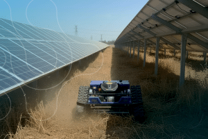 Capina em usinas solares